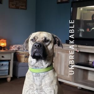 Meet your Posher, Mike